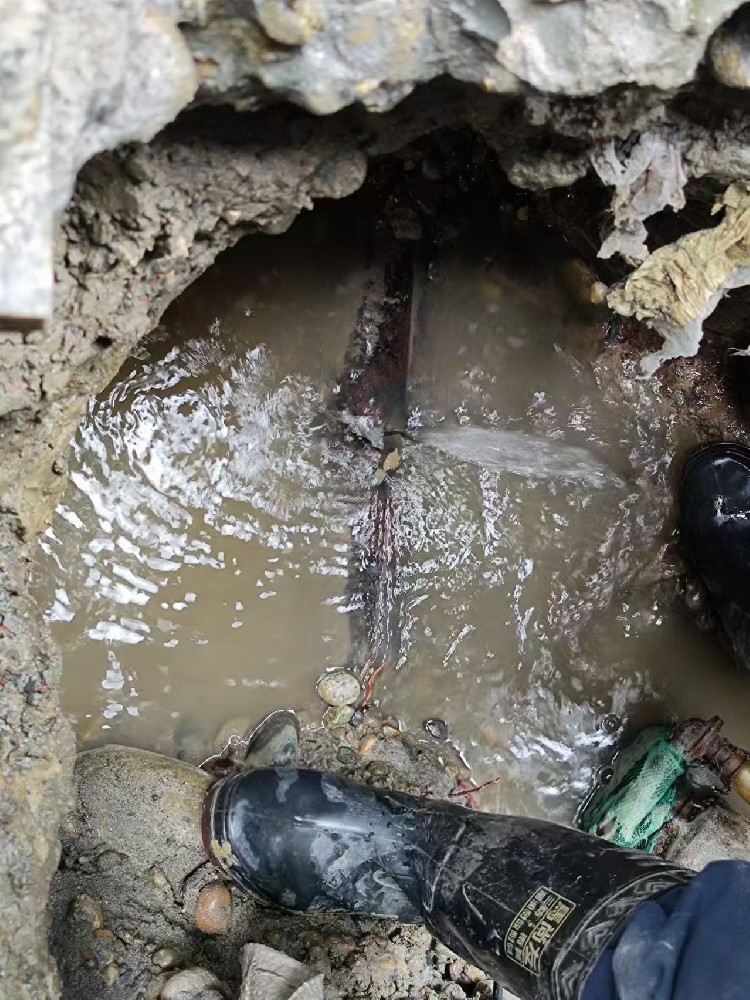 措美地区绿化水管漏水检测维修